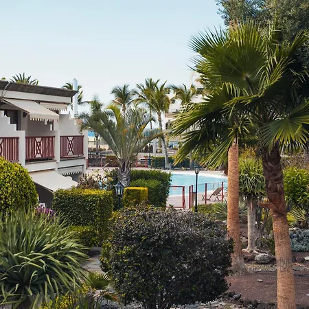Bergeli Oasis *